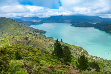 Fototapeta na wymiar Kenepuru Sound Marlborough South Island New Zealand