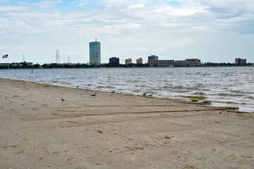 seagulls resting on the beach