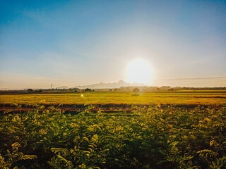 The sun is rising among the fields and mountains.
Thailand 