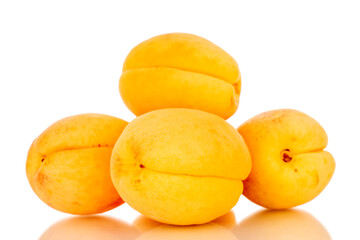 Four ripe sweet apricots, macro, isolated on white background.