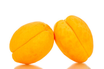 Two ripe sweet apricots, macro, isolated on white background.