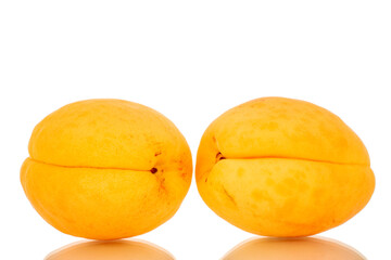 Two ripe sweet apricots, macro, isolated on white background.