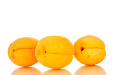 Three ripe sweet apricots, macro, isolated on white background.