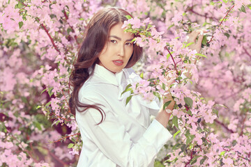 Fototapeta premium blossom of sakura