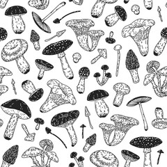 Pattern with mushrooms. Hand-drawn seamless vector with different forest mushrooms.  - obrazy, fototapety, plakaty