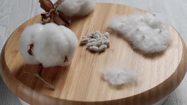 cotton flower, cotton wool, cotton seeds, spinning on a wooden surface