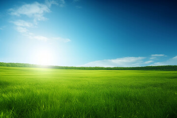 Fototapeta na wymiar Green plain Background Images with sunlight