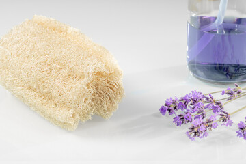 Sponge and lavender shower gel on white background
