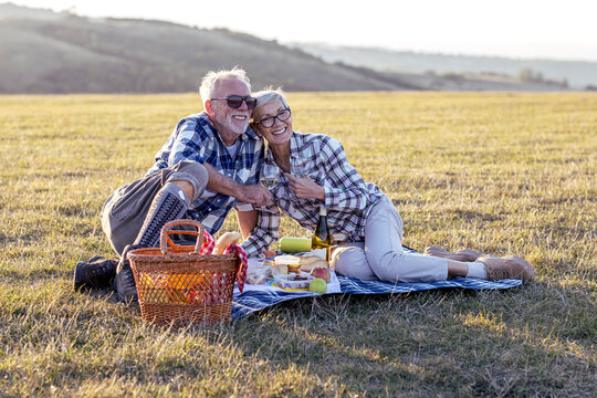 Charming senior couple enjoying a delightful picnic in the great outdoors. They are seen lounging comfortably on a checked blanket surrounded by a lush green landscape. 