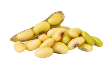 soy bean on transparent png