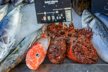 Freshly caught John Dory or Saint Pierre fish on display at the fish market in the old town or...