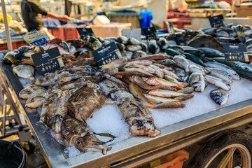 Freshly caught cuttlefish and striped red mullet, on display at the fish market in the old town or...