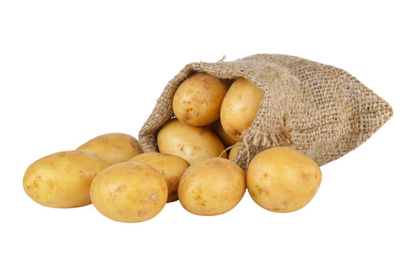  potato in the sack isolated on  transparent png