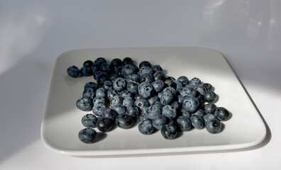 Blueberries in a plate closeup