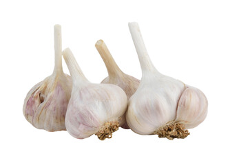 garlic on  transparent png