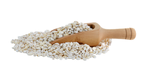 Barley Grains tn the scoop Isolated on  transparent png