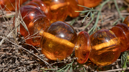 Unique round Baltic amber beads close up. Transparent amber jewelry on the grass. Slavic culture....