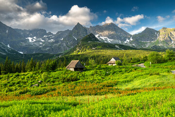 Beautiful mountain landscape with green valley and wooden cabin