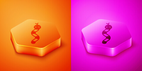 Isometric Snake icon isolated on orange and pink background. Hexagon button. Vector