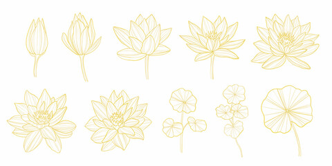 gold outline set of lotus flowers