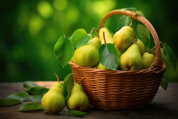 Wicker basket full of pears on green leaves background