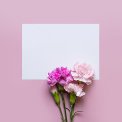 Invitation or greeting card with pink carnation flowers. mockup. Blank card for text on a pink background.