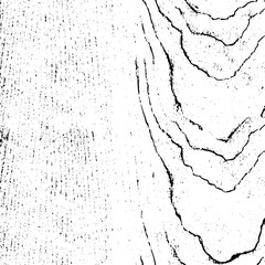 Rustic grunge vector texture with grain and stains. Abstract noise background. Weathered surface. Dirty and damaged. Detailed rough backdrop. Vector graphic illustration with transparent white. EPS10.