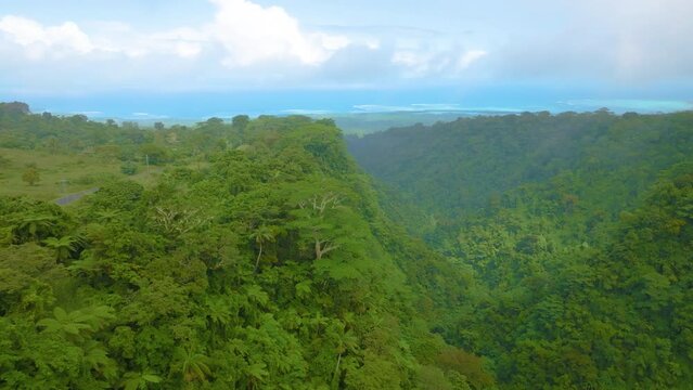 Dense jungle, Samoa