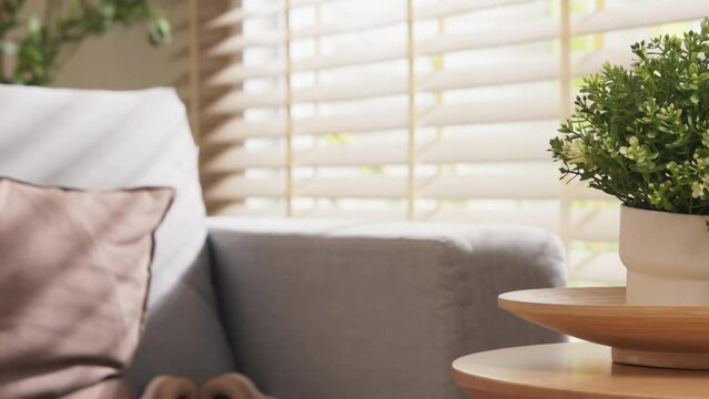 home interior design detail of Modern clean living room with soft and cosy sunlight pillow upholstery cushion arrange on white sofa dolly shot close up,home sweet home background