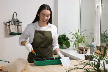 Young woman adding soil into peat pots at wooden table indoors. Growing vegetable seeds