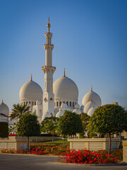 Fototapeta na wymiar Beautiful evening at Sheik Zayed Mosque, Abu Dhabi
