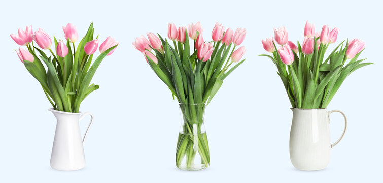 Collage of stylish vases with beautiful tulip bouquets on light background. Banner design