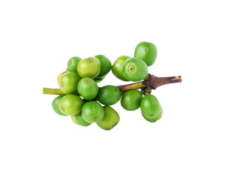 coffee beans transparent png