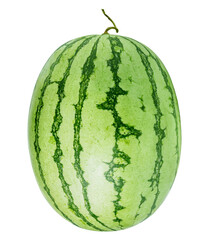 watermelon transparent png