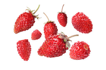 Many fresh ripe wild strawberries falling on white background