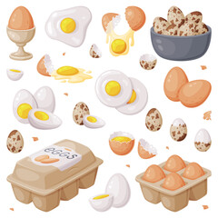 Fresh Raw Eggs and Cooked Boiled with Yellow Yolk Vector Set