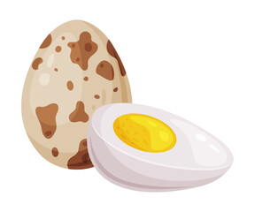 Boiled Quail Eggs in Shell and Half with Yolk Vector Illustration