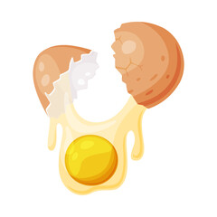 Raw Uncooked Egg with Cracked Brown Shell Vector Illustration