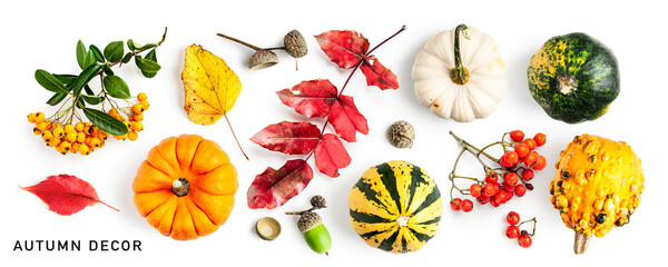 Pumpkin, autumn berries and leaves set isolated on white background.