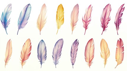 Watercolor feathers on white background