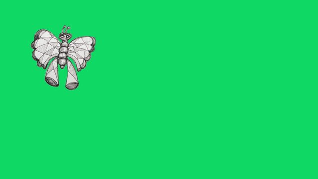 Cartoon Butterfly animation over green screen background