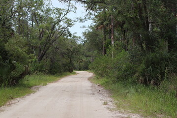 Dirt Road