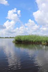 Marsh grass cloudy sky