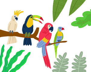 Different type of exotic birds. Vector flat cartoon graphic design illustration. Vector illustration - 625292883