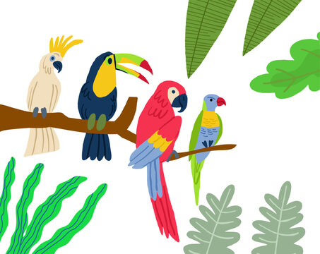 Different type of exotic birds. Vector flat cartoon graphic design illustration. Vector illustration