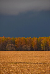Stormy sunset sky over autumn stubble field