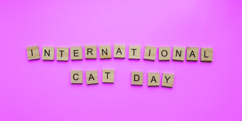 August 8, World Cat Day, minimalistic banner, inscription in wooden letters International Cat Day