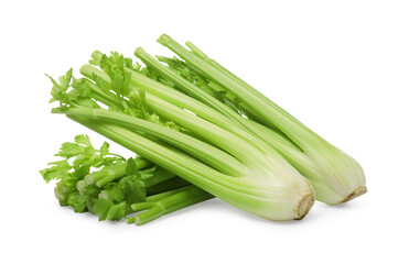 Fresh green celery bunches isolated on white