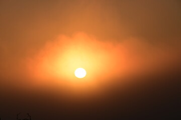 Fototapeta premium sunset in the sky