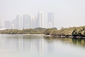 Foggy morning in Abu Dhabi, view from the mangroves on Al Reem island